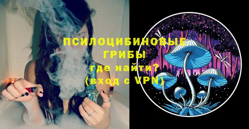 mega tor  Ревда  Псилоцибиновые грибы Magic Shrooms 